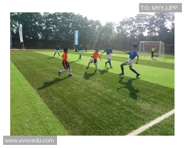 洛科足球:在激情与梦想交织的赛场上书写辉煌历史与未来展望 洛科足球:在激情与梦想交织的赛场上书写辉煌历史与未来展望