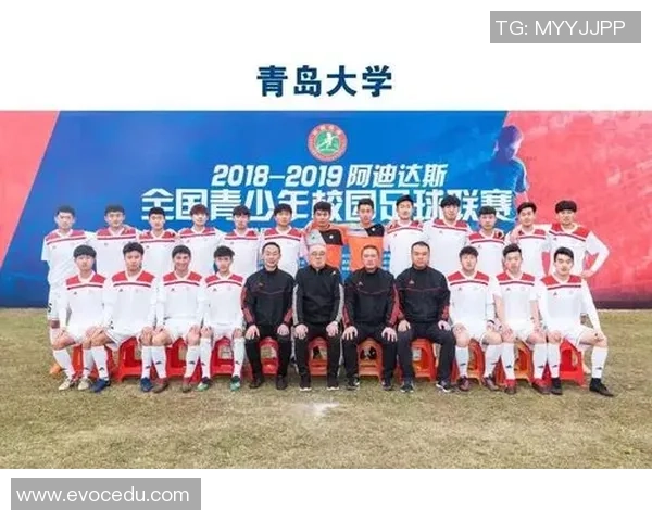 足球明星的奋斗历程与荣耀瞬间征文写作指南