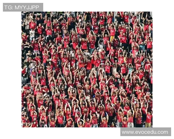 足球明星私人看台独特瞬间揭秘球场背后的奢华生活与激情时刻